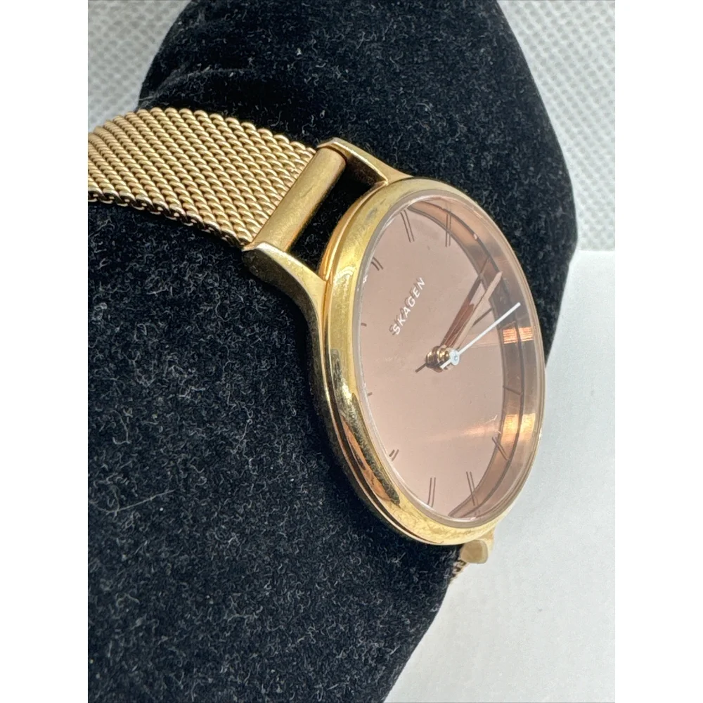 Skagen Anita SKW2413 Women's Gold Stainless Steel Mesh Analog Dial Watch AEA303